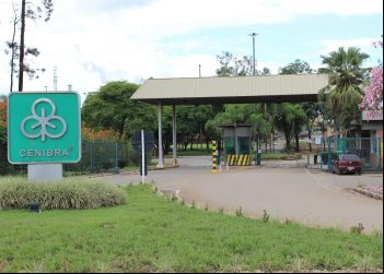 CENIBRA ESTABELECE RECORDE DE PRODUÇÃO DE CELULOSE