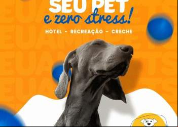 NOVA ERA TEM HOSPEDAGEM PARA PETS