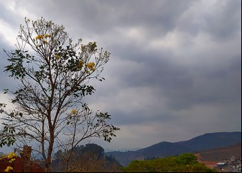 CÉU CINZA EM NOVA ERA E REGIÃO: SAIBA COMO QUEIMADAS E O CLIMA SECO ESTÃO INFLUENCIANDO