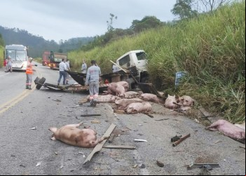 ACIDENTE GRAVE NA BR-381 ENTRE 2 CAMINHÕES DEIXA TRÂNSITO LENTO