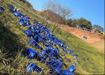 Carga de cerveja cai de carreta na BR-381