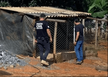 MULHER É PRESA APÓS FILMAR GATO SENDO ATACADO POR CÃES ROTTWEILER