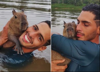 JUSTIÇA ACABA DE CONCEDER LIMINAR PARA IBAMA DEVOLVER CAPIVARA FILÓ PARA O INFLUENCER AGENOR