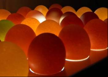 Rio Piracicaba: ovos coloridos enriquecem a merenda escolar