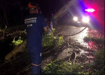 VENTO FORTE DERRUBA ÁRVORES E INTERDITAM RODOVIAS: