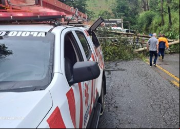 SEVOR É ACIONADO APÓS QUEDA DE ÁRVORE NA BR-262